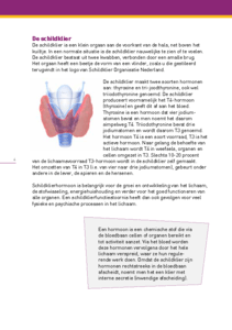 brochure-schildklierenzwangerschap-dec2021-defdef-pag4